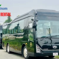 Cho thuê xe limousine 9-12-16-20-29 chỗ