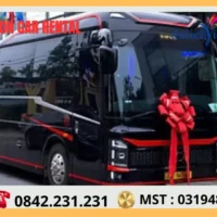 Cho thuê xe limousine 9-12-16-20-29 chỗ 9 Limousine 22 Cho