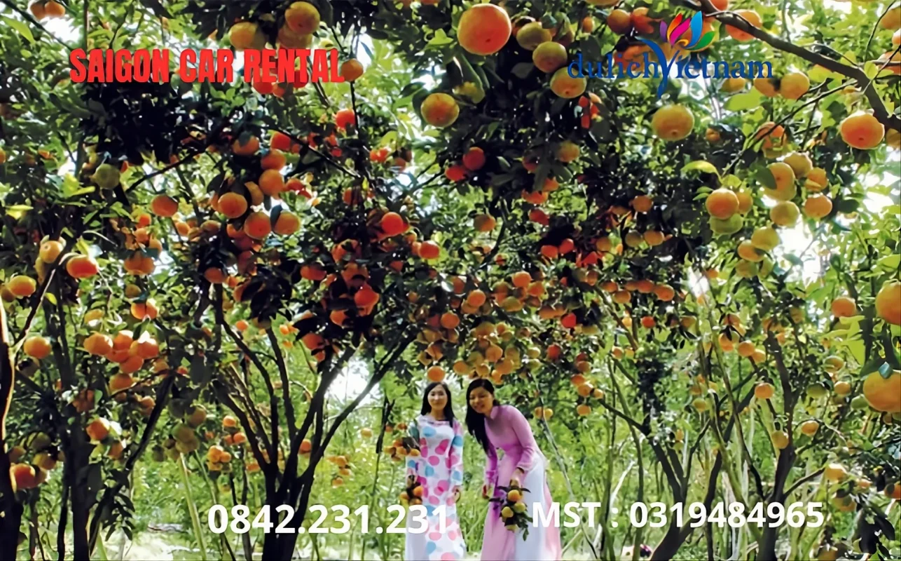 Miệt vườn trái cây nổi tiếng