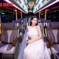 noi that limousine