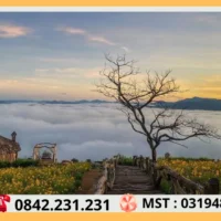 Thuê Xe Đi Đà Lạt Tại Sài Gòn 77 San May Da Lat