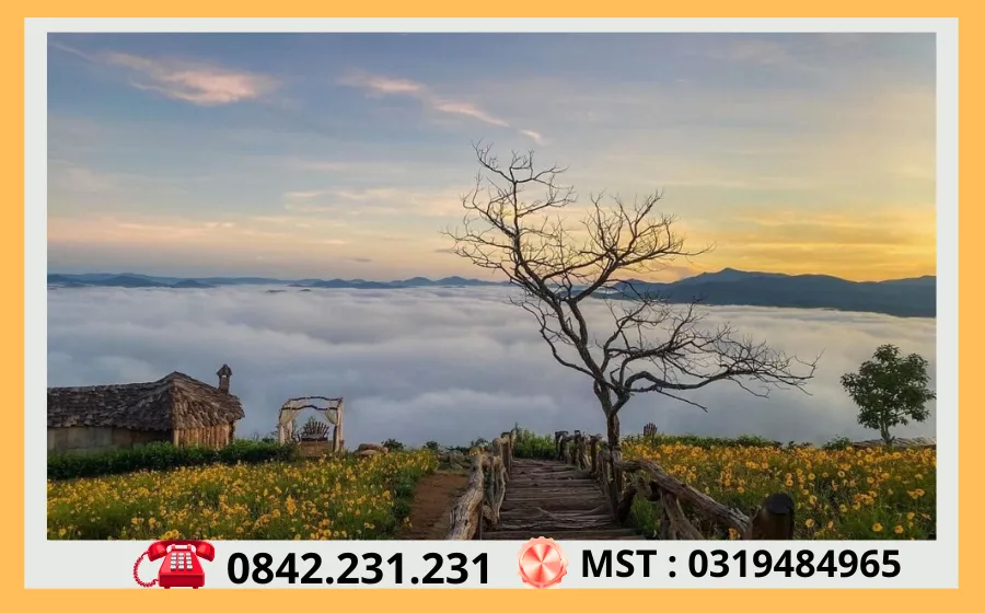 Thuê Xe Sài Gòn Đi Đà Lạt 78 San May Da Lat