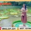 Thuê Xe 4 Chỗ Đi Đồng Tháp Giá Bao Nhiêu?