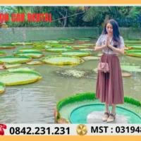 Thuê Xe 4 Chỗ Đi Đồng Tháp Giá Bao Nhiêu?
