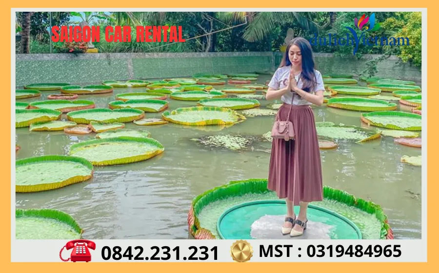 Thuê Xe 4 Chỗ Đi Đồng Tháp Giá Bao Nhiêu Thue Xe 4 Cho Di Dong Thap Gia Bao Nhieu