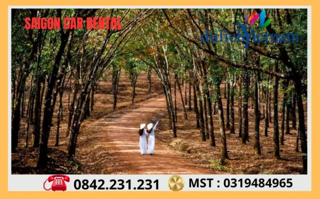 Thuê Xe Đi Bình Phước Tại Sài Gòn