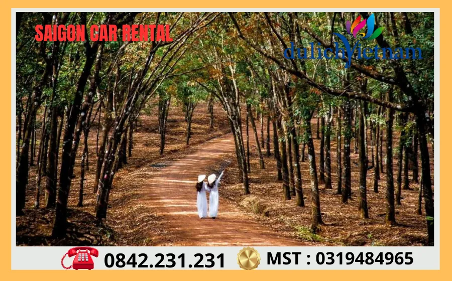 Thuê Xe Đi Bình Phước Tại Sài Gòn Thue Xe Di Binh Phuoc Tai Sai Gon