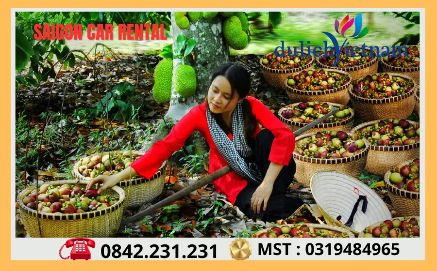 Thuê Xe Sài Gòn Đi Bình Dương 75 Vuon trai cay Lai Thieu
