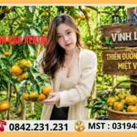 Vuong Quoc Trai Cay Mien Tay