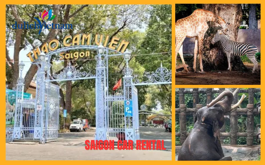 Top 11 Địa Điểm Du Lịch Cảnh Đẹp Ở Sài Gòn Nhất Định Phải Ghé Một Lần 21 Thao Cam Vien Sai Gon